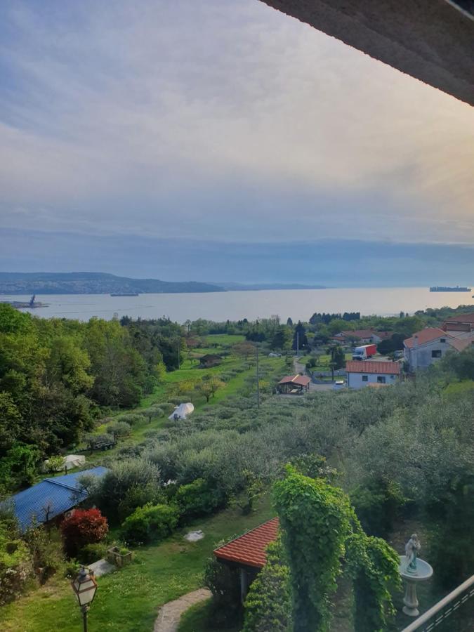 Apartma Aleksandra Ankaran Exterior foto
